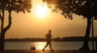 A MetSul Meteorologia adverte que os gaúchos vão enfrentar mais um dia tórrido nesta quarta-feira, com marcas novamente ao redor e acima dos 40ºC. As máximas, na grande maioria das […]