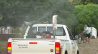 O município de Carazinho confirmou na noite de quinta-feira (3) a primeira morte por febre chikungunya da história do Rio Grande do Sul, segundo registros da Secretaria Estadual de Saúde (SES-RS). Não existe vacina contra […]