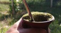 Muito mais do que uma bebida, o chimarrão representa um elo entre gerações, um símbolo cultural enraizado na identidade do povo gaúcho. O dia 24 de abril, instituído como o […]
