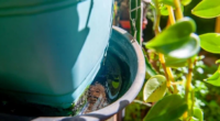 Viamão lidera lista de infecções no RS, que tem 474 municípios infestados pelo mosquito Aedes aegypti O número de casos confirmados de dengue segue em alta no Rio Grande do Sul. […]