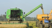 Aprovação e adoção de projeto de lei da senadora Tereza Cristina é considerada sugestão prioritária em documento de 85 páginas Depois de promover encontros com produtores rurais nas cinco regiões do país […]