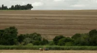 Parceria formalizada entre o Ministério de Desenvolvimento Agrário e Agricultura Familiar (MDA) e a Federação dos Trabalhadores na Agricultura no Rio Grande do Sul (Fetag-RS) desenvolverá ação de estímulo à […]