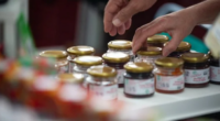 Projeto, que atenderá 300 propriedades, pretende contribuir para maior oferta de alimentos orgânicos e aumento de renda do produtor Trezentas unidades de produção da agricultura familiar, vinculadas a associações e […]