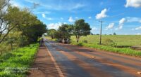 Um acidente envolvendo dois veículos ocorreu no Trevo de Bossoroca, hoje por volta das 15h. Resultando danos materiais. Uma camionete Chevrolet S10 saindo de Bossoroca em direção ao Assentamento Primavera […]