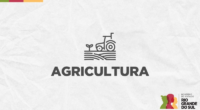 A Secretaria da Agricultura fará atendimento à imprensa nesta sexta-feira (16/5), às 11h30, na sede da Seapi, em Porto Alegre. O Departamento de Vigilância e Defesa Sanitária Animal (DDA), da […]