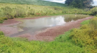Presidente da Fetraf/RS crê que pode ser insuficiente a prorrogação a ser votada pelo CMN Uma nota técnica divulgada ontem pela Federação da Agricultura do Rio Grande do Sul (Farsul) […]