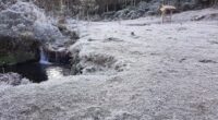 Quando marcar 23h42 desta sexta-feira (20/6), começará oficialmente o inverno no Hemisfério Sul do planeta. Até as 15h19 do dia 22 de setembro, a estação promete ser típica no Rio […]