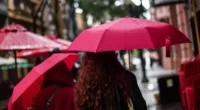Além do frio característico desta época do ano, o fim de semana no Rio Grande do Sul terá chuva em grande parte do Estado. Em Porto Alegre, no sábado (14), a precipitação deve começar no final da manhã e se estender […]