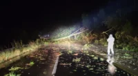 Moradores da Fronteira Oeste, das Missões e do Noroeste do Rio Grande do Sul relataram chuva de granizo durante a madrugada desta quinta-feira (5). Em São Borja, na Fronteira Oeste, […]