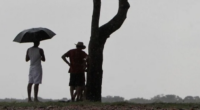 Dia começa ainda com tempo firme e o sol aparece com nuvens O tempo já começou a mudar no Rio Grande do Sul e imagens de radar mostravam no começo […]