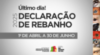 Hoje (30/06) é o último dia para os produtores rurais fazerem a Declaração Anual do Rebanho 2025. Todos os produtores de animais devem fazer a declaração, não apenas de bovídeos, […]
