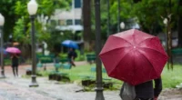 A primeira metade desta quinta-feira tem alerta para tempo severo na Metade Norte do Estado. Tempestades multicelulares avançaram do Norte da Argentina e cruzam a Metade Norte do Rio Grande […]