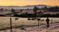 Muitas cidades gaúchas terão máximas menores do que 15ºC nesta terça-feira (1º) Após o período de chuva excessiva no fim de semana, a segunda-feira (30) no Rio Grande do Sul já […]
