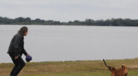 Segundo a MetSul, cidades gaúchas podem registrar precipitação leve e passageira Julho encerra com um novo episódio de chuva no Rio Grande do Sul devido a ruptura do padrão atmosférico em […]
