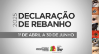 Índice de entrega é quase quatro pontos percentuais acima do registrado em 2024 Um mês após o encerramento do prazo da Declaração Anual de Rebanho, período reservado à digitação das […]