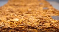 O Sindicato Interestadual da Indústria do Tabaco (Sinditabaco), sediado em Santa Cruz do Sul, afirmou acompanhar com “com preocupação a decisão dos Estados Unidos de aplicar uma tarifa adicional de […]