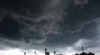 O grande volume de chuva em junho teve como principal impacto o atraso na semeadura e implantação das lavouras de trigo no Rio Grande do Sul. A análise faz parte do Comunicado […]