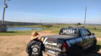 Em quase um ano de existência, a Divisão de Repressão aos Crimes Rurais e de Abigeato (Dicrab), vinculada ao Departamento de Polícia do Interior (DPI), vem comprovando a necessidade de sua existência, ante […]