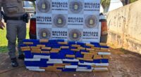 A Brigada Militar de Bossoroca realizou uma importante apreensão de drogas nesta sexta-feira (15), interceptando um carregamento de entorpecentes que seria destinado à região central do estado. A ocorrência foi […]