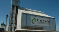 O Estado e também São Paulo possuem superávits na capacidade logística em comparação à possibilidade de colheita, diferentemente de outros importantes produtores O Brasil deverá produzir, na safra de grãos […]