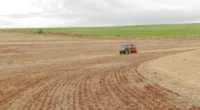O estoque de recursos da Cédula de Produto Rural (CPR) alcançou R$ 521 bilhões em julho, um aumento de 40% se comparado ao mesmo período de 2024. Os dados foram anunciados nesta […]
