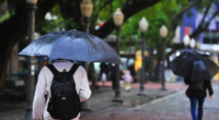 A MetSul alerta que já deve chover entre a madrugada e o período da manhã nos vales, Serra, Grande Porto Alegre e Litoral Norte O Rio Grande do Sul terá […]
