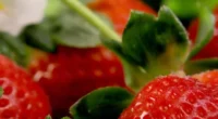 Boas perspectivas para as frutas no fim do inverno Rio Grande do Sul começa a colher safra de morango, mas, segundo a Emater/RS-Ascar, oferta ainda é menor que a demanda […]