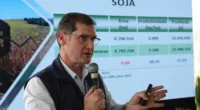 Com esperanças mais uma vez nas mãos do clima, o Rio Grande do Sul espera colher uma safra de recuperação na temporada 2025/2026. Conforme estimativa da Emater apresentada nesta terça-feira (2) […]