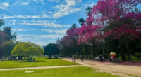 Segundo a MetSul, chuva retorna ao estado nos próximos dias O Rio Grande do Sul teve nesta quinta-feira, 25, uma madrugada considerada muito fria para o final de setembro, com os […]