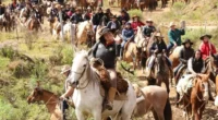 Neste sábado, dia 13 de setembro, Cambará do Sul recebe a 22ª edição da Cavalgada das Prendas, considerada a maior e mais antiga cavalgada exclusivamente feminina do Brasil. A atividade […]