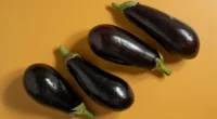A chegada da primavera, em setembro, com temperaturas mais amenas e maior luminosidade, cria condições ideais para o cultivo da berinjela. Embora seja mais conhecida no dia a dia como […]