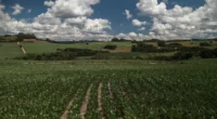 A Administração Nacional Oceânica e Atmosférica dos Estados Unidos (NOAA) confirmou oficialmente a ocorrência do La Niña em 2025. Isso significa que a temperatura da superfície do Oceano Pacífico está abaixo da […]
