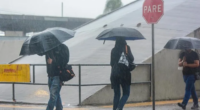 MetSul alerta para riscos de temporais e vendavais com granizo no território gaúcho Uma frente fria avança nesta segunda-feira no RS e leva instabilidade a todas as regiões do estado, […]