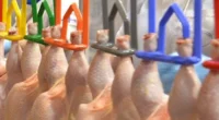 A avicultura gaúcha mostra recuperação das exportações de carne de frango (processadas e in natura) ao aumentar os embarques em 8,8% nos volumes em outubro, comparado ao mesmo mês do […]