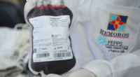 Somente Hemorgs atende mais de 40 hospitais na Região Metropolitana, Vale do Paranhana e Litoral Norte, mas relata que sua demanda é somente 30% atendida Esta terça-feira é o Dia […]