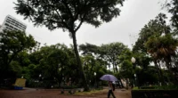 A&nbsp;primeira semana de verão&nbsp;no Rio Grande do Sul&nbsp;será de tempo abafado e instabilidade. A previsão é de que os municípios gaúchos registrem chuva volumosa entre segunda (22) e quarta-feira (24). [&hellip;]