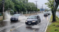 O Rio Grande do Sul encerra a penúltima semana de 2025 da mesma forma que começou:&nbsp;com instabilidade, que deve persistir até o fim deste ano. Segundo a&nbsp;MetSul Meteorologia, rio atmosférico [&hellip;]