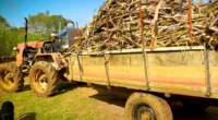 Tradicional nos estados do Sudeste e Nordeste, a cana-de-açúcar também vem ganhando espaço no Rio Grande do Sul. Em 2024, o Estado colheu quase meio milhão de toneladas da cultura, [&hellip;]
