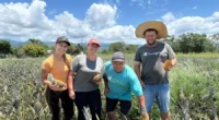 O município de Terra de Areia, o maior produtor de abacaxi do Rio Grande do Sul, comemora uma grande e saborosa safra da fruta, resultado do trabalho mobilizado por 120 [&hellip;]