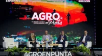 Uma comitiva do Rio Grande do Sul participa, até esta sexta-feira (6), do Agro em Punta 2026, em Punta del Este. O evento é uma das principais feiras de agronegócio [&hellip;]
