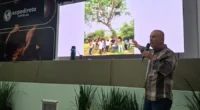 Espécie pode atingir até 30 metros de altura O&nbsp;18º Fórum Florestal, realizado durante a&nbsp;Expodireto, em Não-Me-Toque, foi marcado pelo lançamento do&nbsp;3º Concurso de Árvores Gigantes do Rio Grande do Sul, [&hellip;]