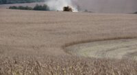 A colheita da soja prossegue de forma gradual no Rio Grande do Sul, alcançando 10% da área de 6.624.988 hectares cultivada nesta safra 2025/2026. De acordo com o Informativo Conjuntural, [&hellip;]