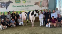 A raça Holandesa definiu suas campeãs neste sábado, 28, durante a&nbsp;Expoagro Cotricampo, em Campo Novo, em etapa válida pelo circuito Exceleite, promovido pela Associação dos Criadores de Gado Holandês do [&hellip;]