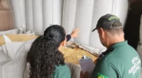Há risco de aumento de custos, disseminação de pragas e impactos indiretos sobre os preços dos alimentos Após a&nbsp;apreensão de 1.447 toneladas&nbsp;de sementes irregulares durante operação no Estado, o Sindicato [&hellip;]