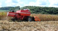 A cultura do milho está em fase final de safra e a área colhida alcança 90% dos 803.019 hectares cultivados nesta Safra 2025/2026. De acordo com o Informativo Conjuntural, divulgado [&hellip;]