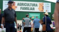 A orientação do MDA/RS é que entidades, cooperativas e agentes do setor atualizem seus procedimentos Agricultoras e agricultores familiares, pescadores artesanais e extrativistas que trabalham em regime de economia familiar [&hellip;]