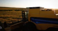 Segmento de agrosserviços registrou aumento de 6,1% no número de trabalhadores O agronegócio brasileiro&nbsp;somou 28,4 milhões de trabalhadores em 2025, se configurando como um novo recorde, conforme indicam pesquisas realizadas [&hellip;]