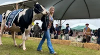 Público acompanhou os cinco dias de programação, em Esteio, com mais de 1,4 mil animais em pista e presença de diferentes cadeias da pecuária gaúcha Com público visitante estimado em [&hellip;]