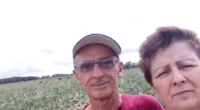 Perfil do produtor é familiar, que aproveita até 10 hectares com a atividade A cebola é uma cultura democrática, possivelmente presente em todos os municípios agrícolas gaúchos, para consumo próprio [&hellip;]