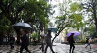 Sol ainda aparece pela manhã no território gaúcho antes da instabilidade que avança ao longo da noite O sol aparece em todo o&nbsp;Rio Grande do Sul&nbsp;neste sábado, 27, mas acompanhado [&hellip;]